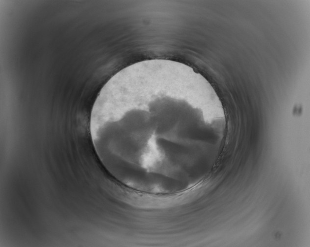 X0000102840048200809151114