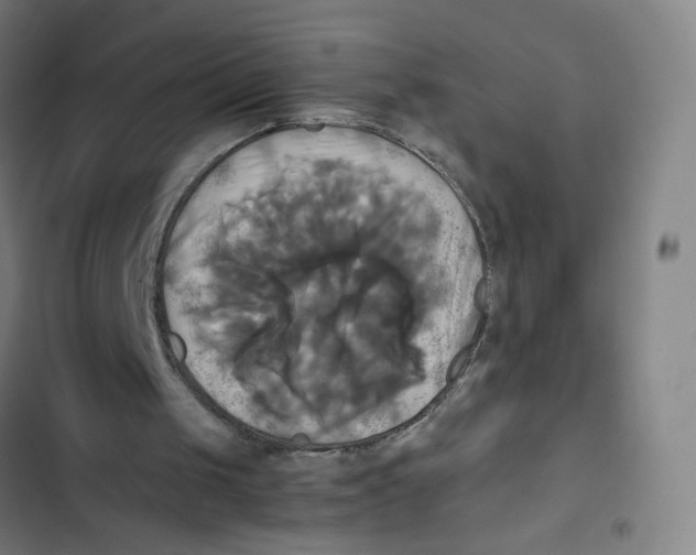 X0000102840049200809151113