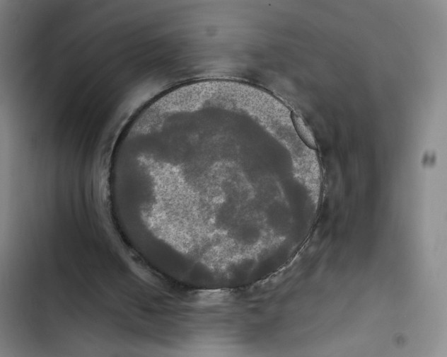 X0000102840050200809151113