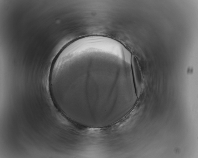 X0000102840052200809151113