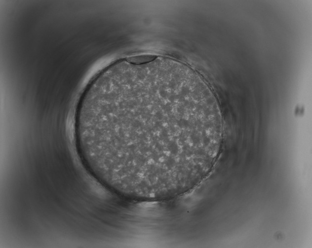 X0000102840054200809151114