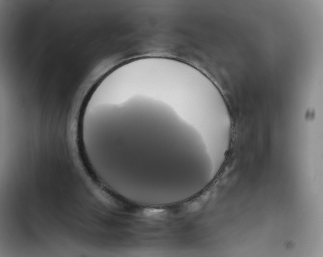 X0000102840055200809151114