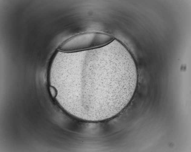 X0000102840060200809151114