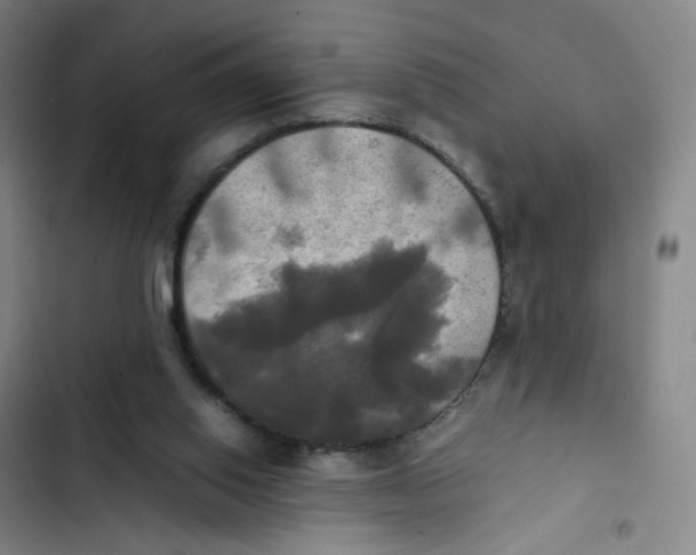 X0000102840062200809151114