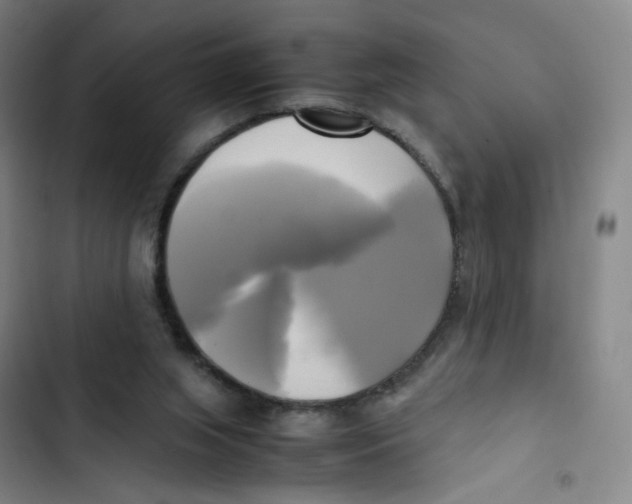 X0000102840063200809151114