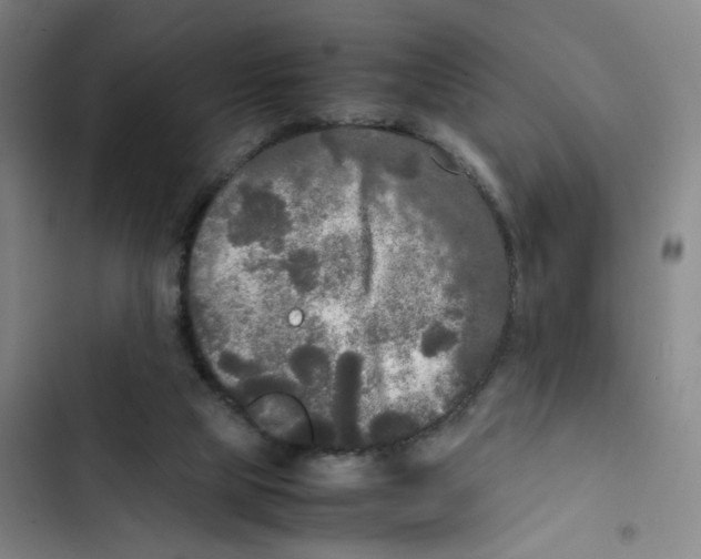 X0000102840065200809151114