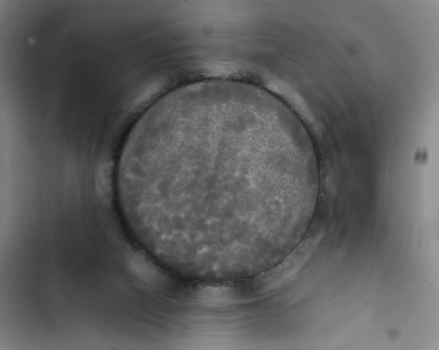 X0000102840066200809151114