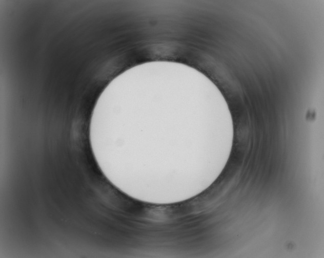 X0000102840079200809151114