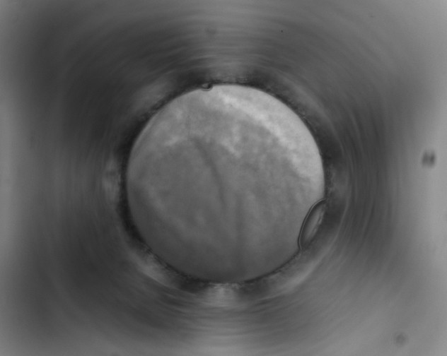 X0000102840080200809151114