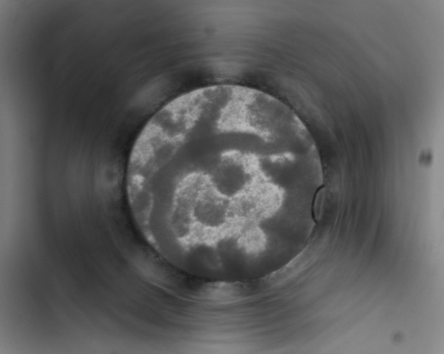 X0000102840082200809151114