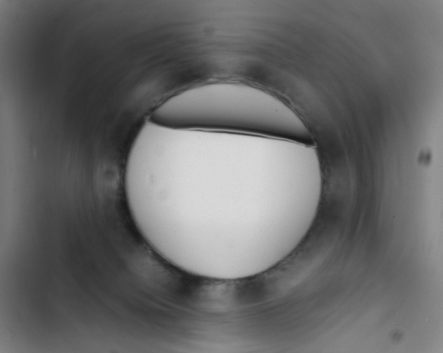 X0000102840084200809151114