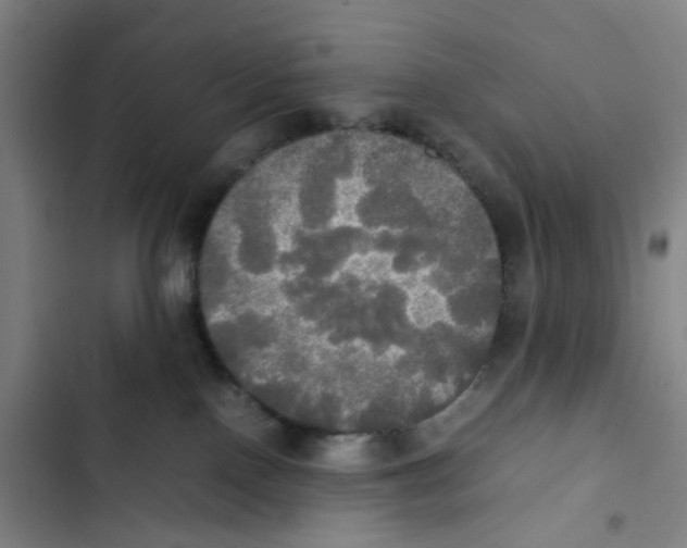 X0000102840090200809151114