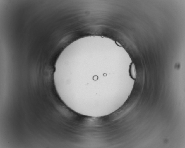 X0000102840092200809151114