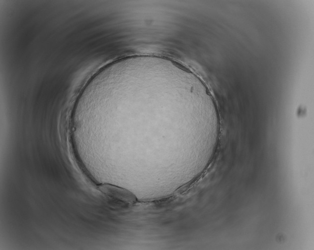 X0000102840097200809151113