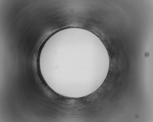 X0000102840098200809151113