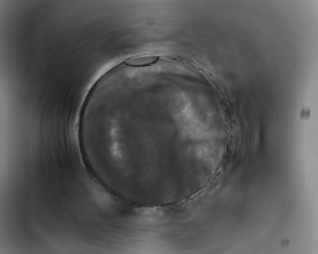 X0000102840100200809151113