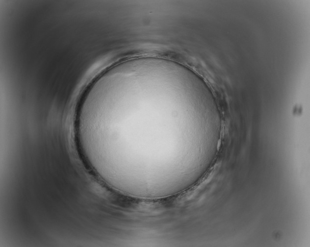 X0000102840101200809151113