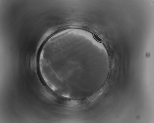 X0000102840102200809151113