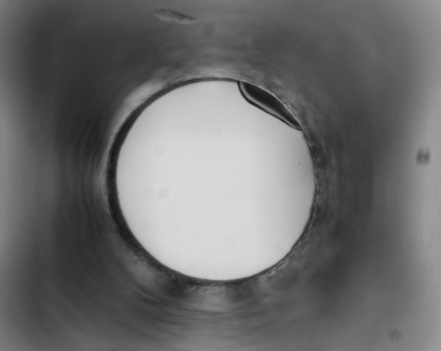 X0000102840104200809151113