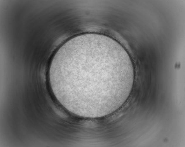 X0000102840106200809151113