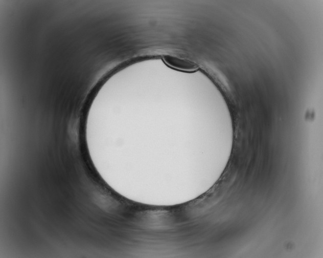 X0000102840108200809151113