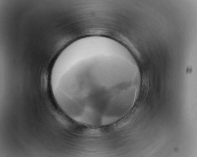 X0000102840110200809151113