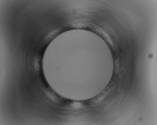 X0000102840114200809151113