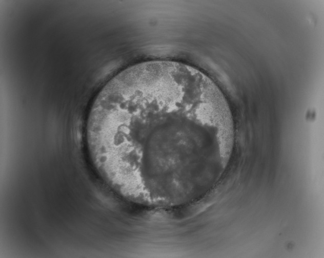 X0000102840115200809151113