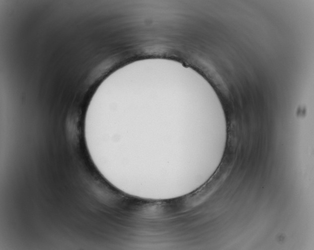 X0000102840116200809151113