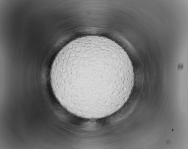 X0000102840119200809151113