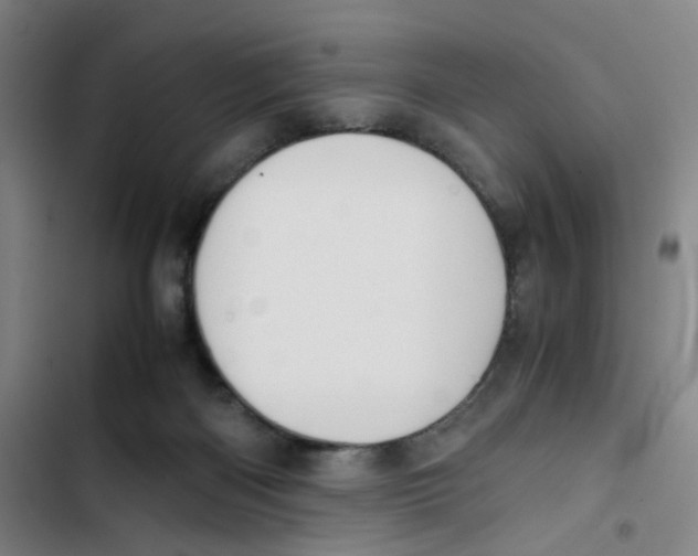 X0000102840122200809151113