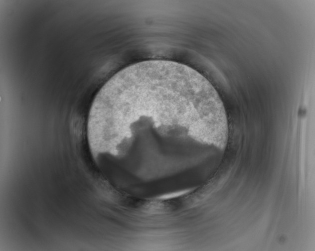 X0000102840123200809151113