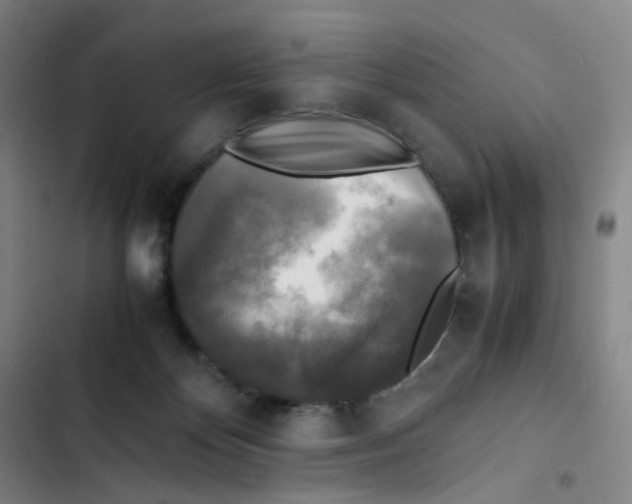 X0000102840124200809151113