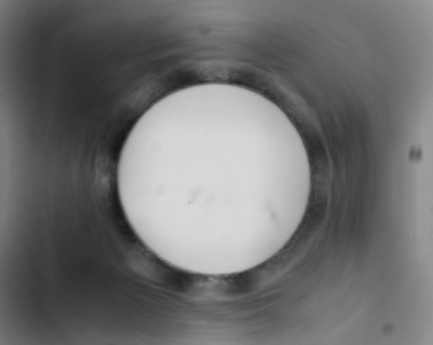 X0000102840125200809151113