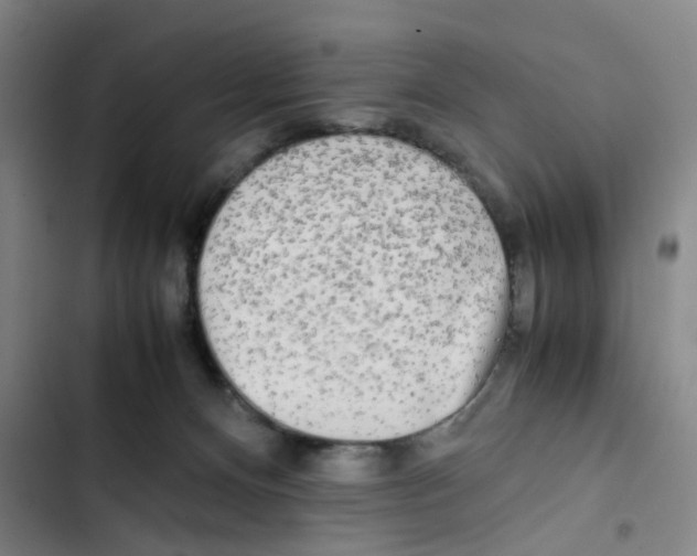 X0000102840128200809151113