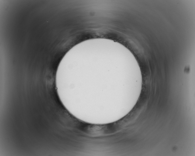 X0000102840129200809151113