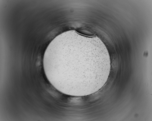 X0000102840132200809151113