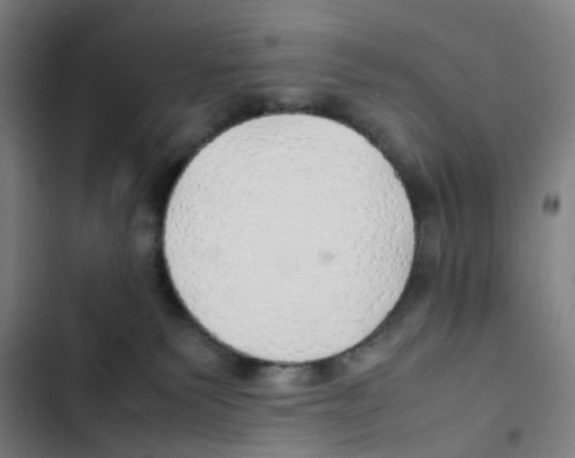 X0000102840135200809151113