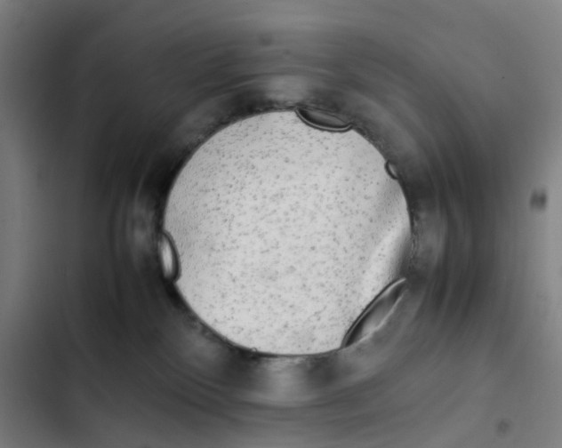 X0000102840136200809151113