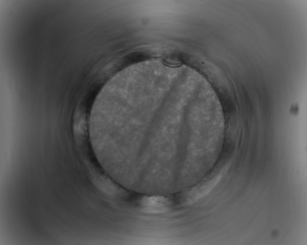 X0000102840137200809151113