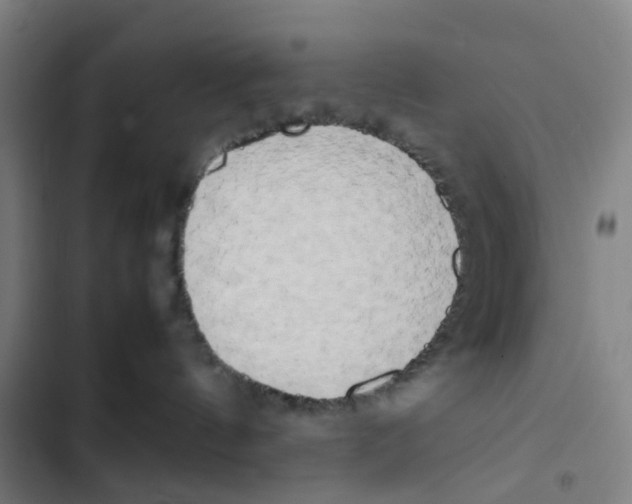 X0000102840144200809151113