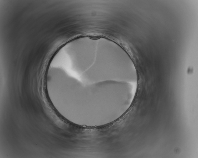 X0000102840145200809151112