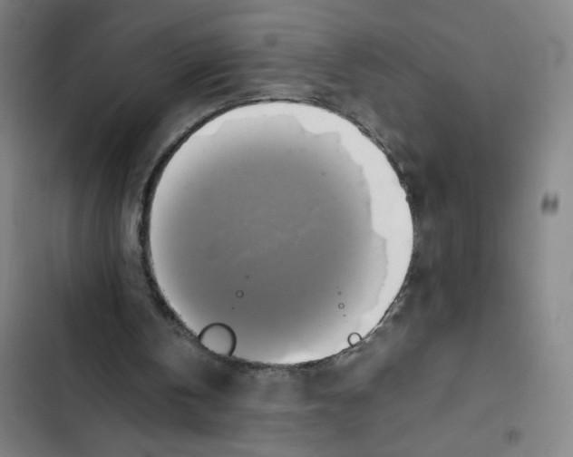 X0000102840146200809151112