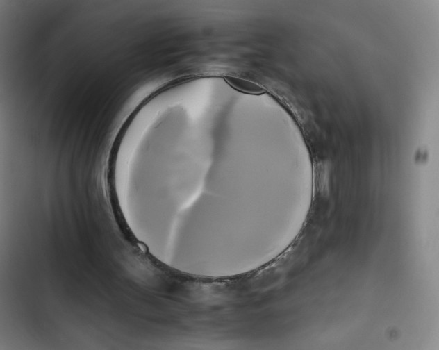 X0000102840147200809151112