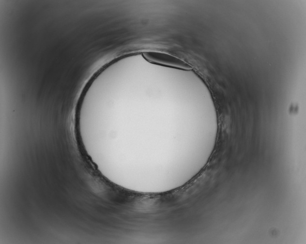 X0000102840148200809151112