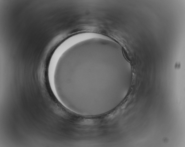 X0000102840149200809151112