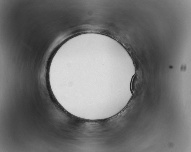 X0000102840150200809151112