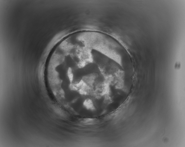 X0000102840151200809151112