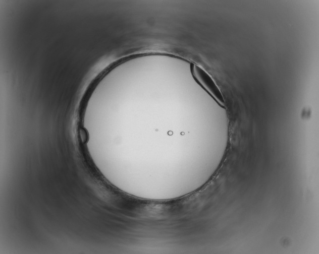 X0000102840152200809151112