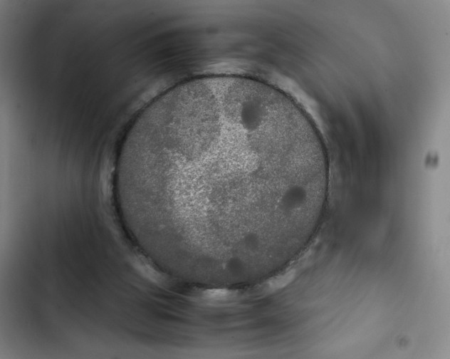 X0000102840153200809151112